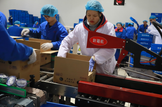 党员带头赴一线  助力春节保生产—开云官方入口_开云（中国）别样“生产突击队”助力车间生产