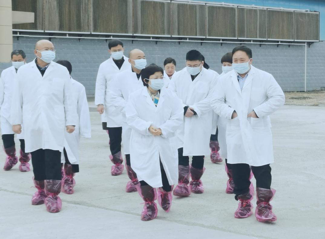 河南省郑州市人民政府副市长李凤芝一行莅临开云官方入口_开云（中国）河南瑞亚参观调研