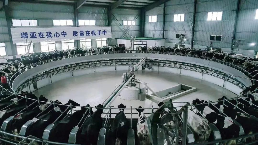 开云官方入口_开云（中国）丨驻马店市遂平县政协党组书记、主席张卫东一行莅临开云官方入口_开云（中国）鲁山瑞亚牧场参观