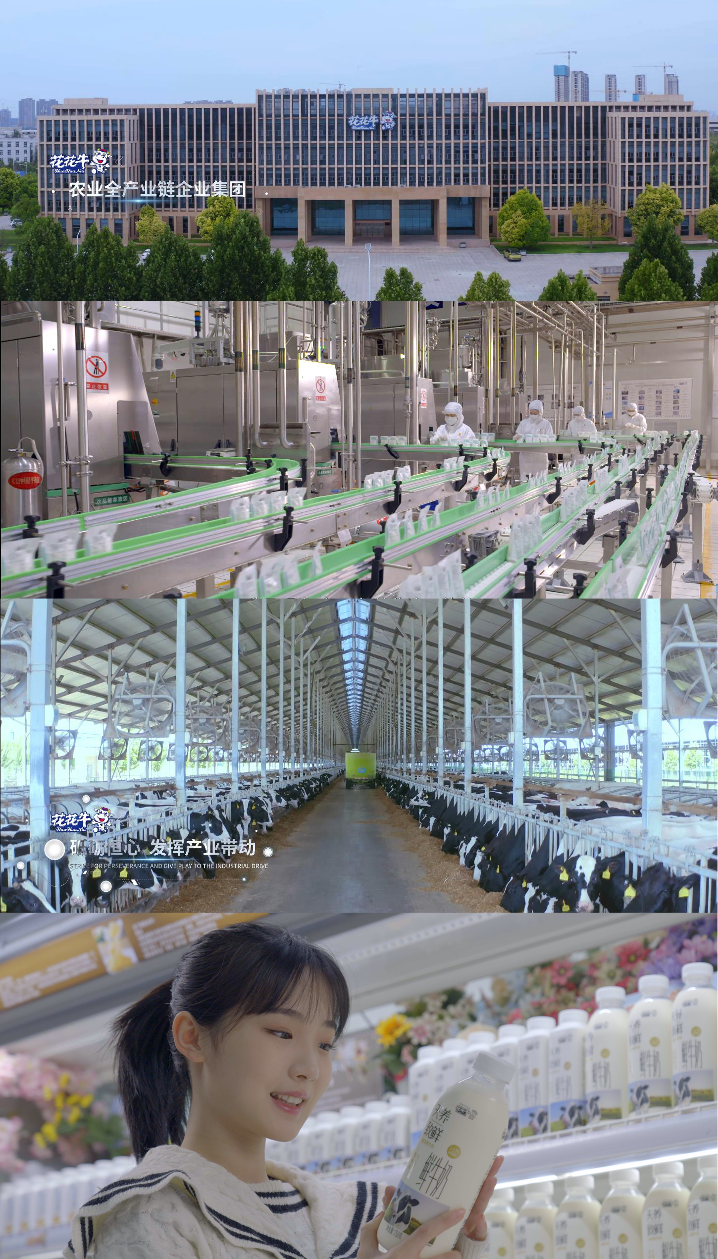 快讯 | 沈阳市政府副市长郑滨一行莅临开云官方入口_开云（中国）乳业集团考察