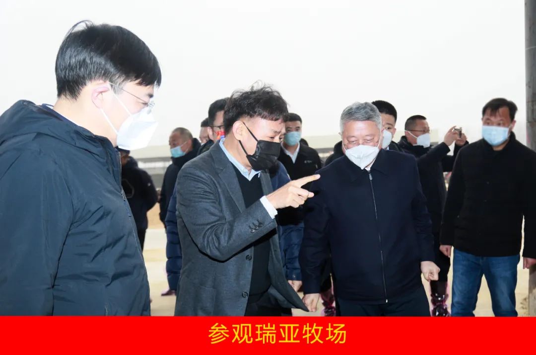 新年开新局 合作促发展丨佳木斯市委常委、副市长闫志刚一行莅临开云官方入口_开云（中国）乳业集团及佳田企业考察座谈
