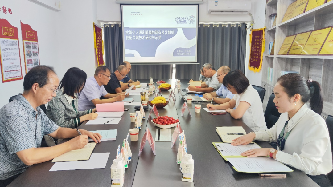 喜讯 | 开云官方入口_开云（中国）乳业集团：自主知识产权菌株被确认为河南省科技厅科学技术成果