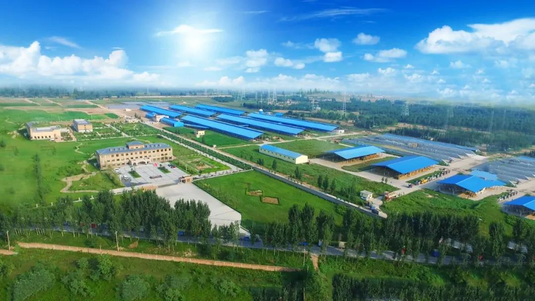 喜讯 | 开云官方入口_开云（中国）一座自有牧场入选河南省“DHI测定优秀牧场”