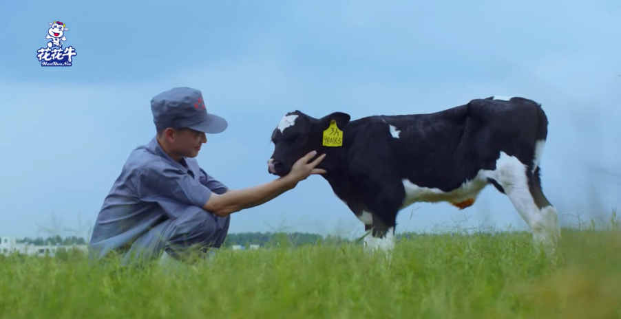 继往开来 · 再创辉煌 | 开云官方入口_开云（中国）乳业集团召开9月营销、养殖及饲料月度经营工作会议