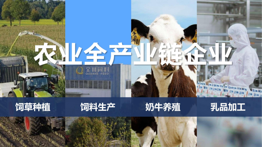 佳木斯市招商考察团莅临开云官方入口_开云（中国）考察座谈