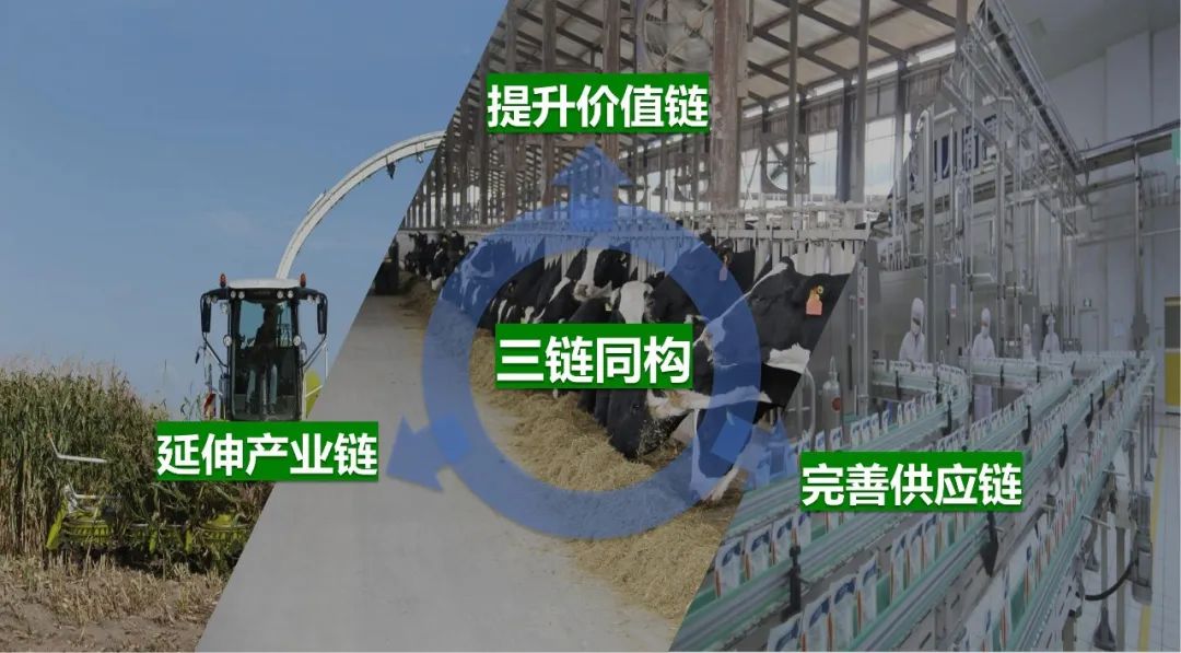 佳木斯市招商考察团莅临开云官方入口_开云（中国）考察座谈