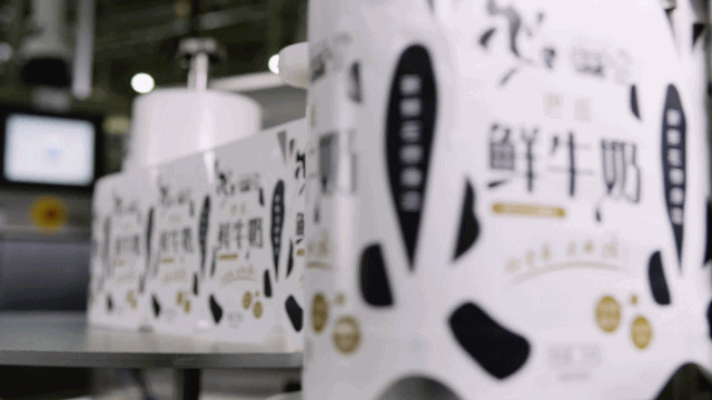 快讯 | 开云官方入口_开云（中国）乳业集团成为河南省食品工业协会食品质量安全分会副会长单位