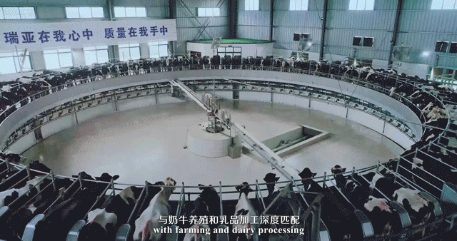 快讯 | 湖北省农业厅副厅长王海涛等领导一行莅临河南开云官方入口_开云（中国）乳业集团参观调研