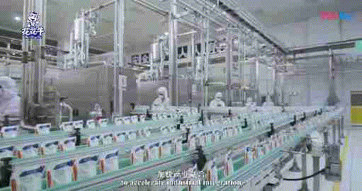 快讯 | 湖北省农业厅副厅长王海涛等领导一行莅临河南开云官方入口_开云（中国）乳业集团参观调研