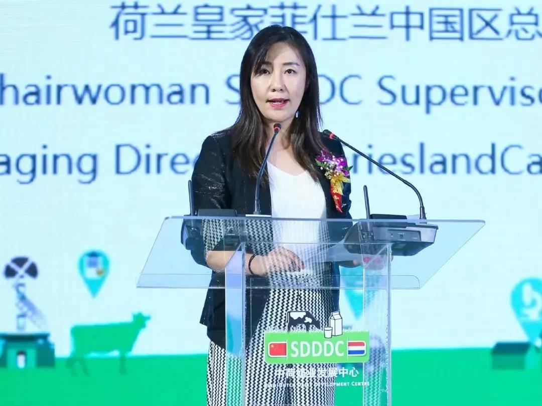 SDDDC走进河南，看看开云官方入口_开云（中国）的国际范儿！