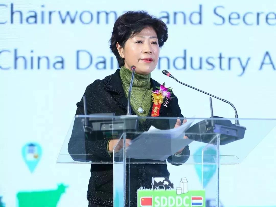 SDDDC走进河南，看看开云官方入口_开云（中国）的国际范儿！
