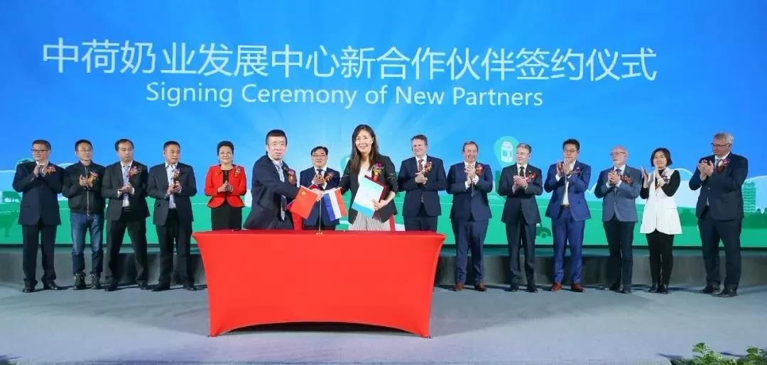 SDDDC走进河南，看看开云官方入口_开云（中国）的国际范儿！