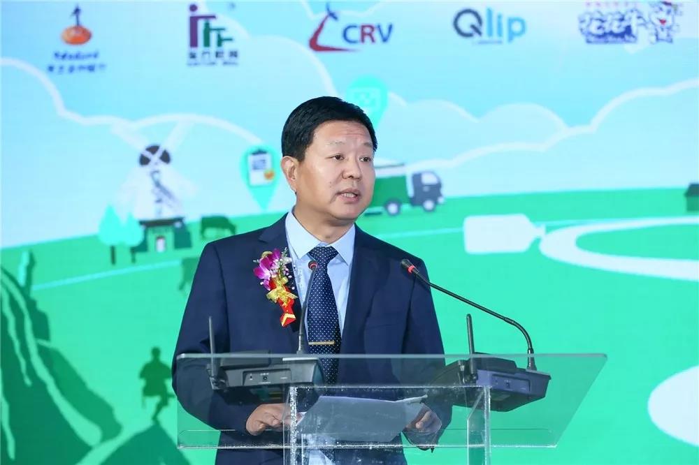 SDDDC走进河南，看看开云官方入口_开云（中国）的国际范儿！