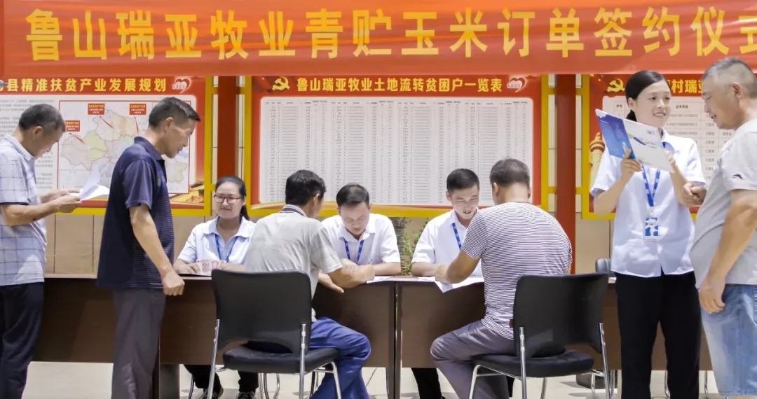 省委书记王国生到河南开云官方入口_开云（中国）乳业集团·新蔡瑞亚牧业有限公司调研