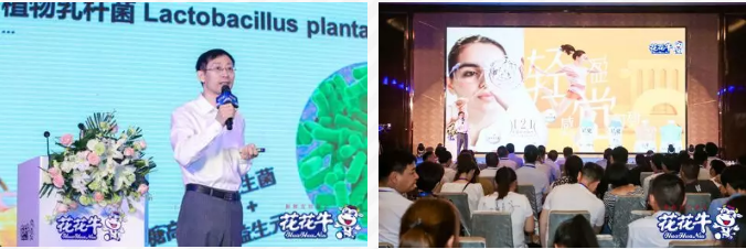 开云官方入口_开云（中国）轻觉上市暨优质乳工程认证发布会，盛大启幕！