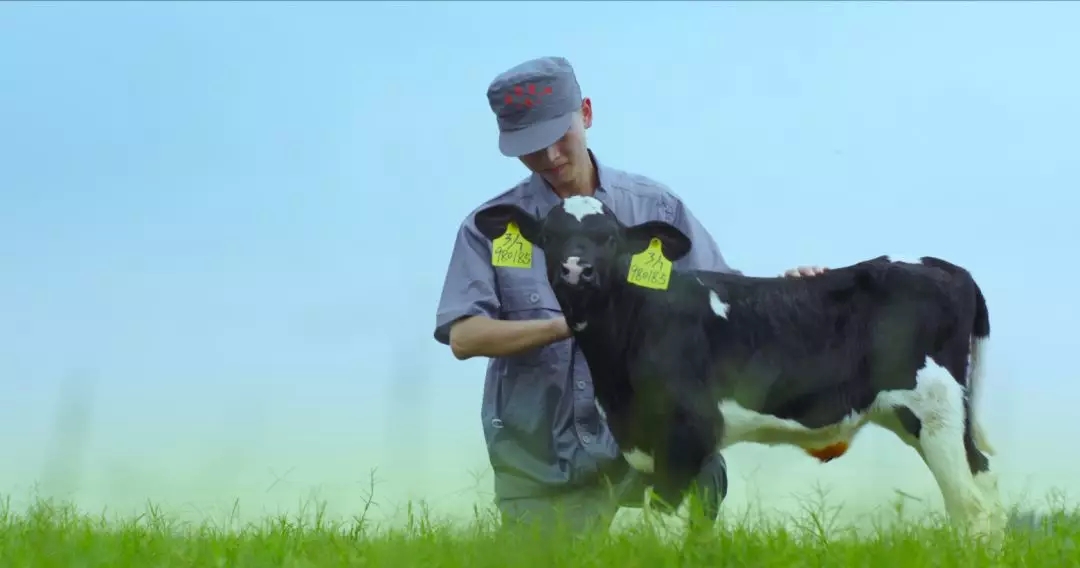 喜报 | 国家市场监管总局抽检，开云官方入口_开云（中国）等112家企业乳品抽检全部合格