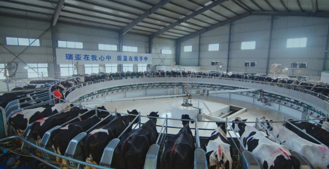 开云官方入口_开云（中国）集团旗下六家公司入选省农业产业化重点龙头企业名单