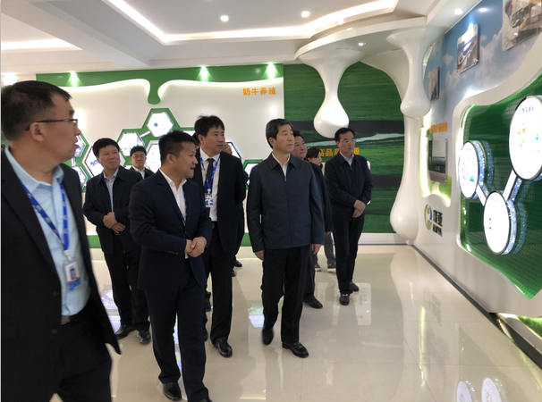 河南省委副书记、省长陈润儿一行莅临 开云官方入口_开云（中国）集团鲁山瑞亚牧业有限公司视察调研