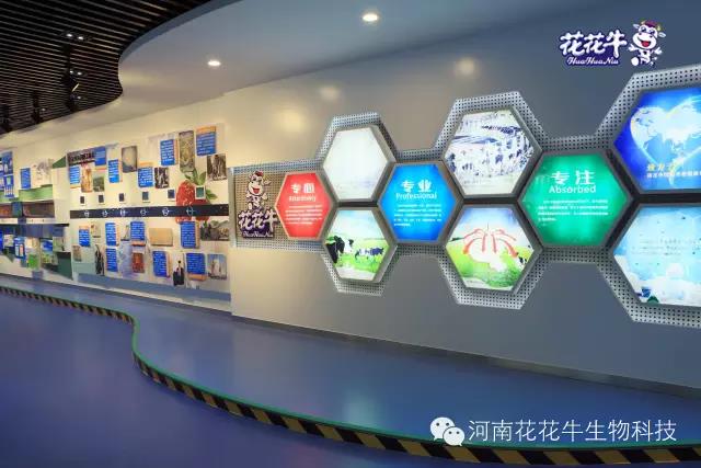 开云官方入口_开云（中国）：务实、创新领潮市场 大企业体现大担当