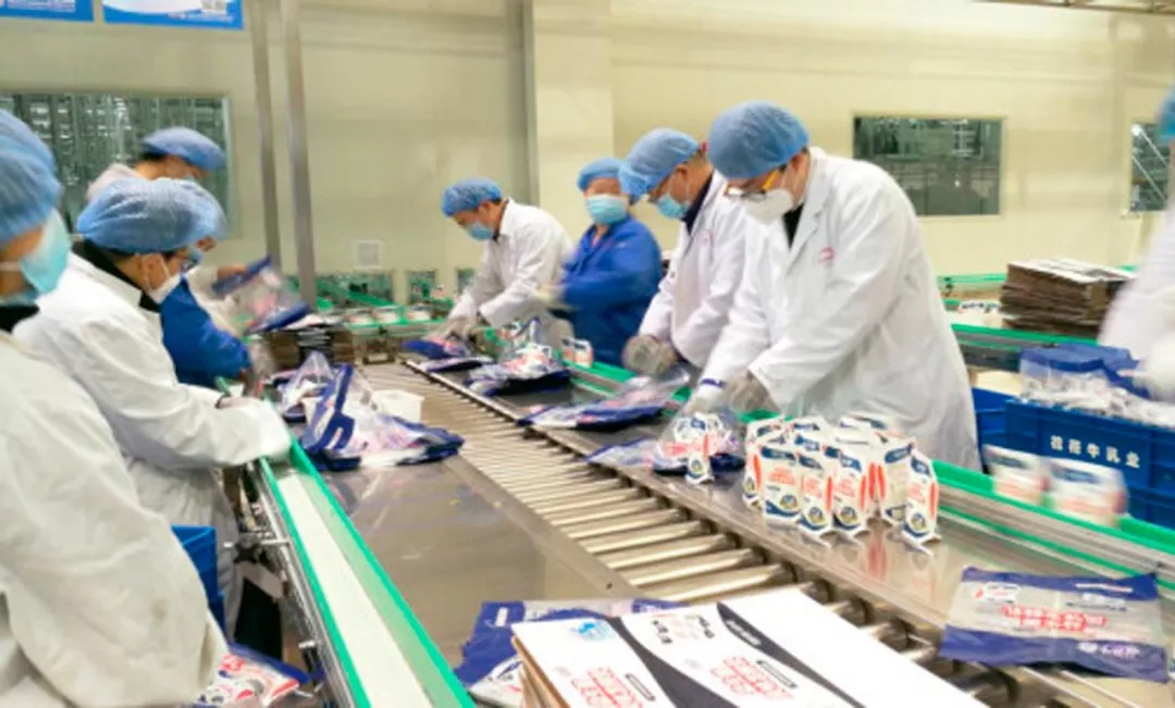 快讯丨河南省副省长武国定莅临开云官方入口_开云（中国）乳业集团调研重点保障企业复工复产情况