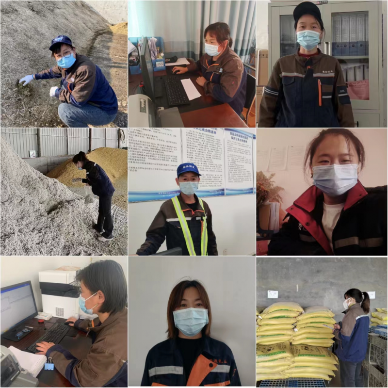 开云官方入口_开云（中国）丨点点微光汇星河——养殖事业部抗疫保生产侧记