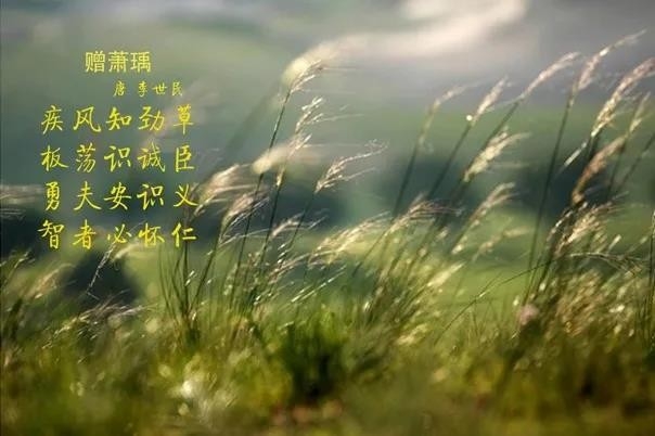 开云官方入口_开云（中国） | 疾风来临，你是不是劲草？